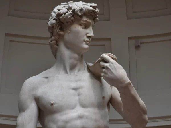 Florence David Michelangelo