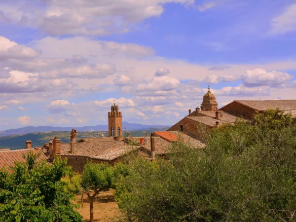 Montalcino and Montepulciano wineries - Image 5