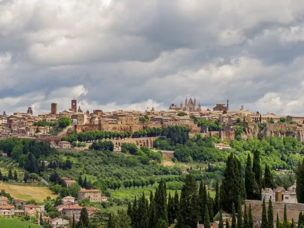 Orvieto Panorama