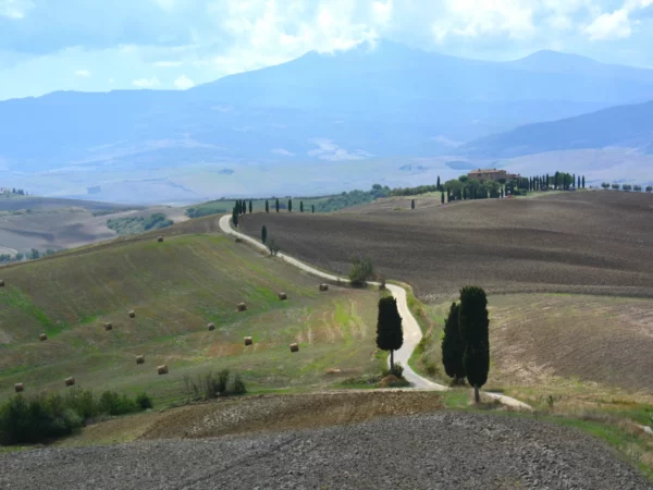 Montalcino, Montepulciano and Pienza - Image 9